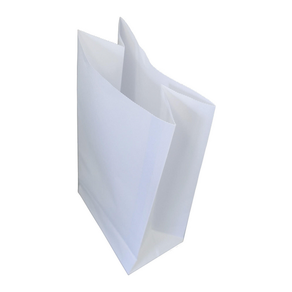 Vomit Bags (pack of 10)